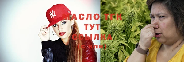 стаф Гатчина