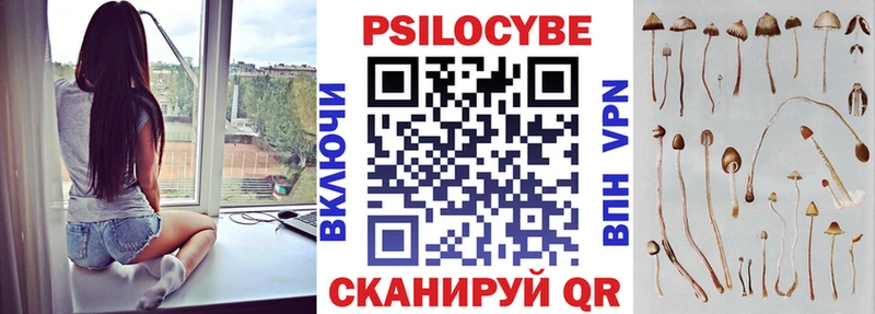 кракен зеркало  Лыткарино  Псилоцибиновые грибы прущие грибы 